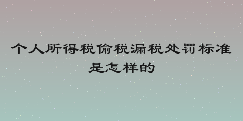 个人所得税偷税漏税处罚标准是怎样的