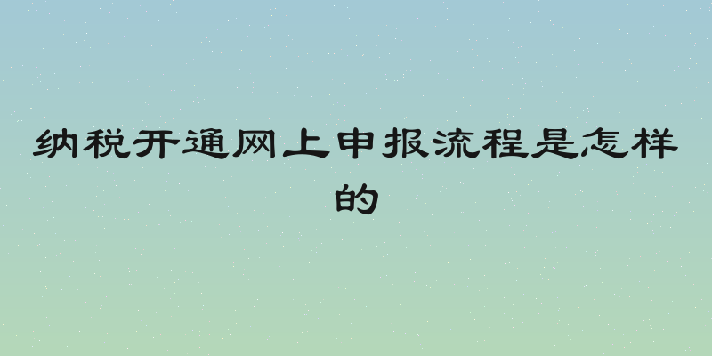 纳税开通网上申报流程是怎样的