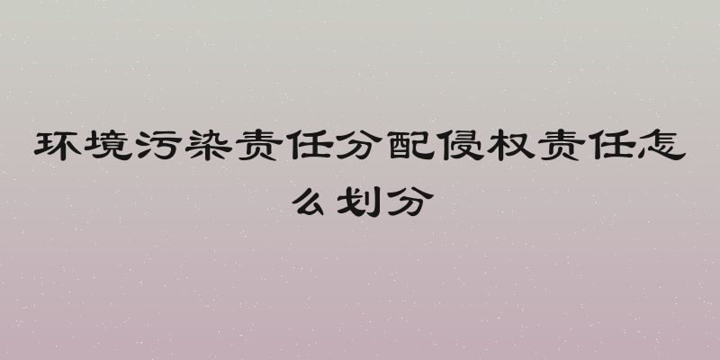环境污染责任分配侵权责任怎么划分