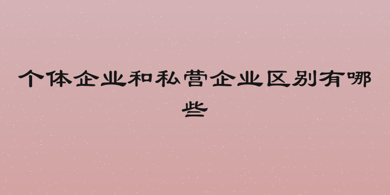 个体企业和私营企业区别有哪些