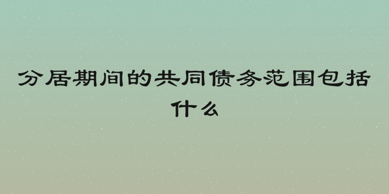 分居期间的共同债务范围包括什么