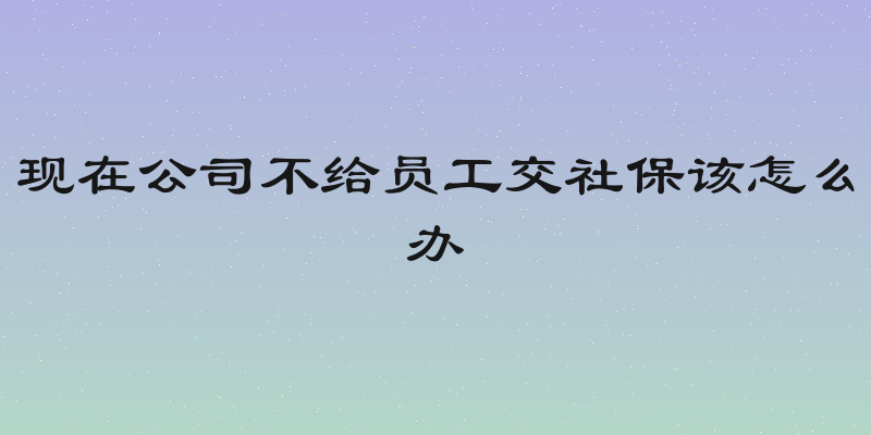 现在公司不给员工交社保该怎么办