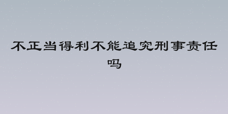 不正当得利不能追究刑事责任吗