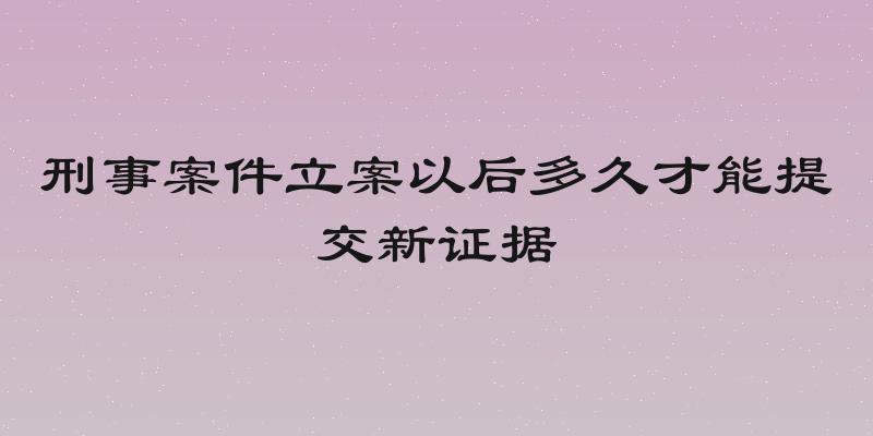 刑事案件立案以后多久才能提交新证据