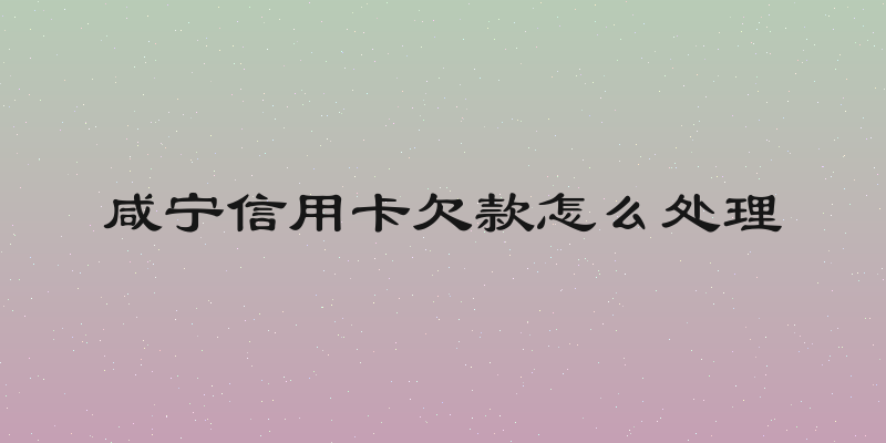 咸宁信用卡欠款怎么处理