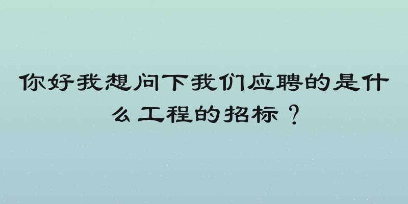 你好我想问下我们应聘的是什么工程的招标？