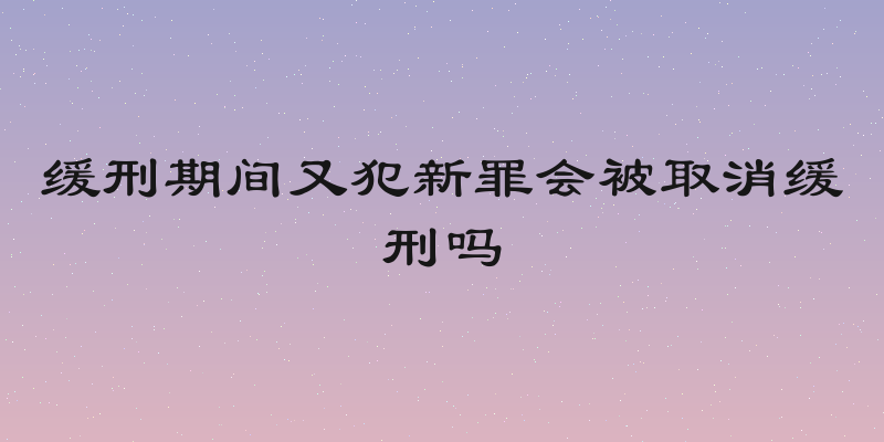 缓刑期间又犯新罪会被取消缓刑吗
