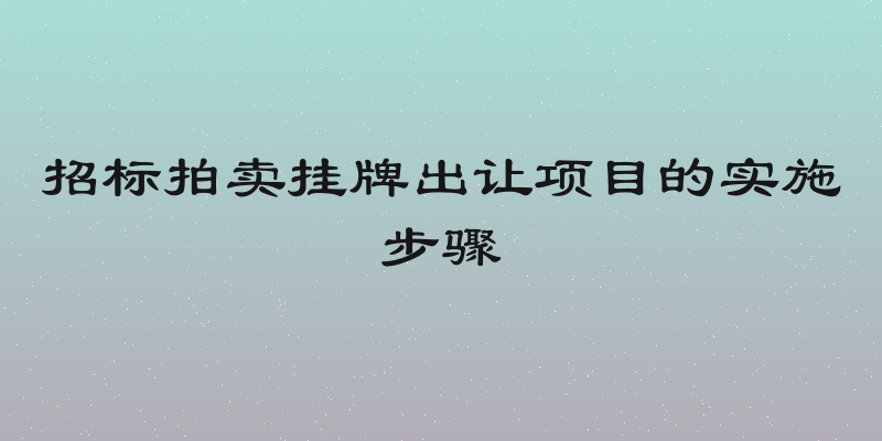 招标拍卖挂牌出让项目的实施步骤