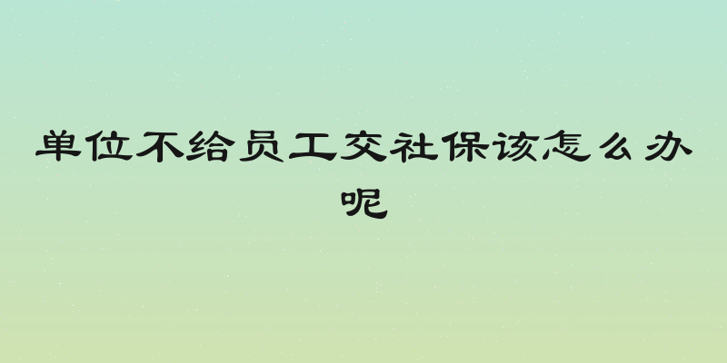 单位不给员工交社保该怎么办呢