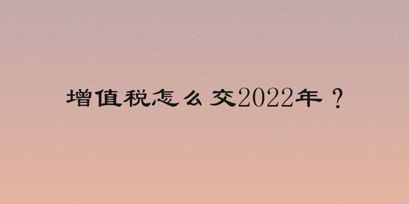 增值税怎么交2022年？