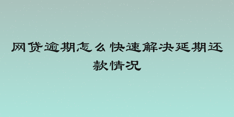 网贷逾期怎么快速解决延期还款情况