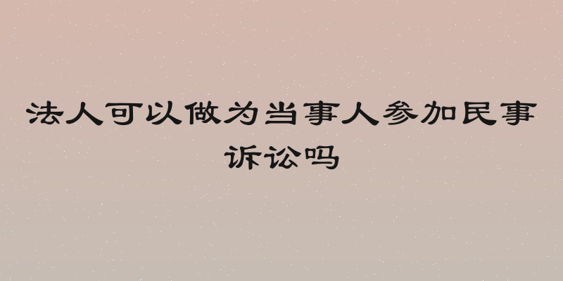 法人可以做为当事人参加民事诉讼吗