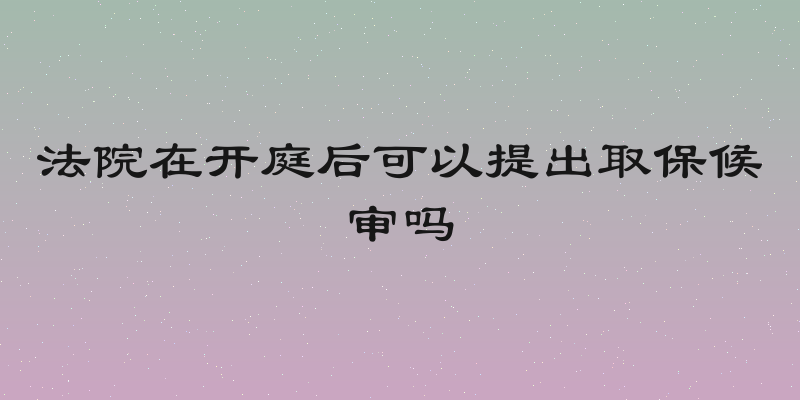 法院在开庭后可以提出取保候审吗