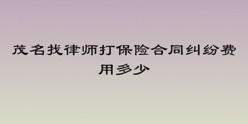 茂名找律师打保险合同纠纷费用多少