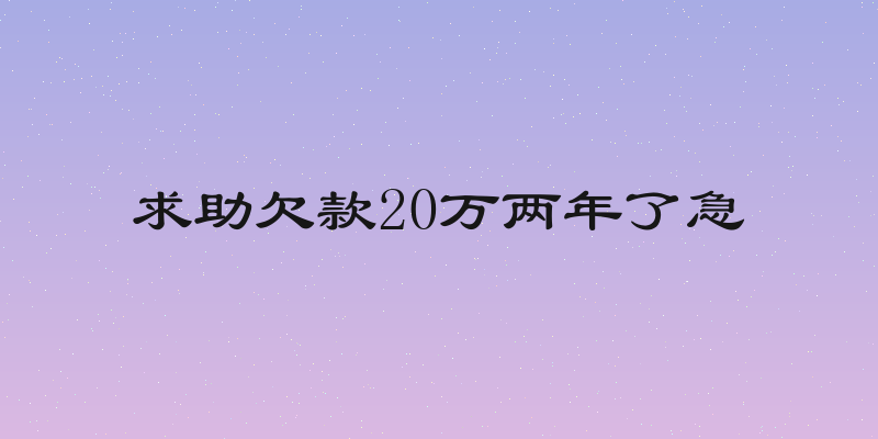求助欠款20万两年了急
