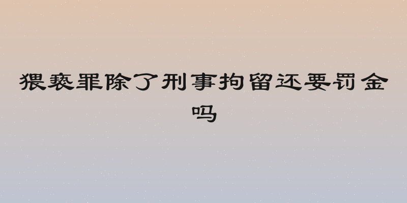 猥亵罪除了刑事拘留还要罚金吗