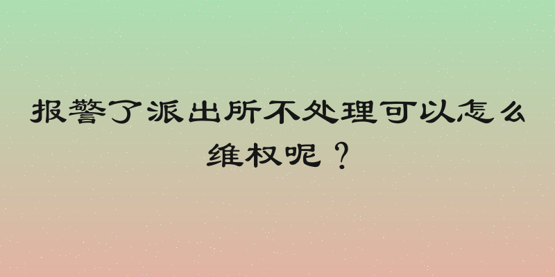 报警了派出所不处理可以怎么维权呢？