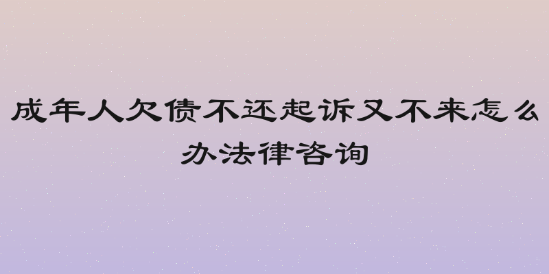成年人欠债不还起诉又不来怎么办法律咨询
