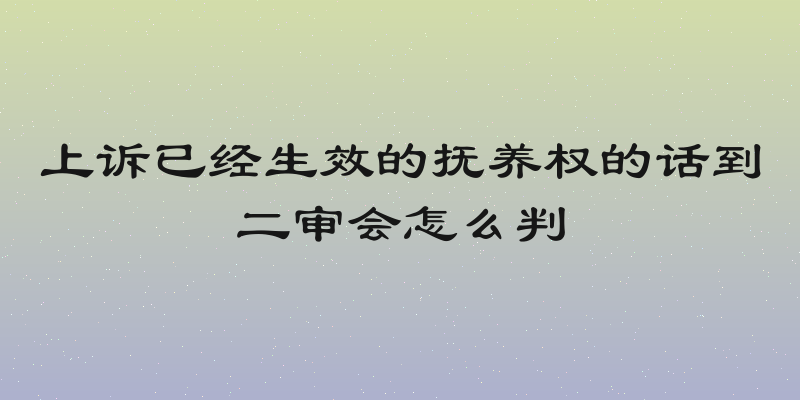 上诉已经生效的抚养权的话到二审会怎么判