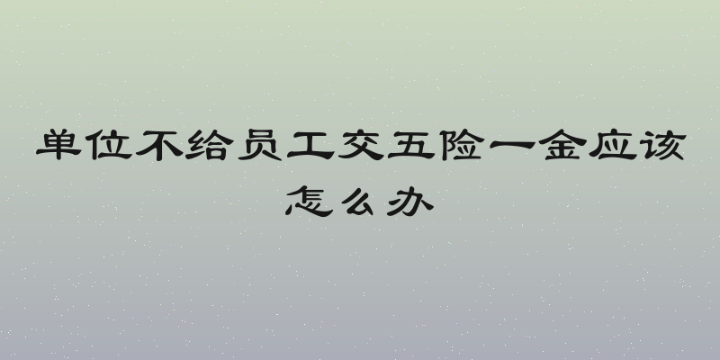 单位不给员工交五险一金应该怎么办