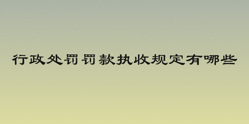 行政处罚罚款执收规定有哪些