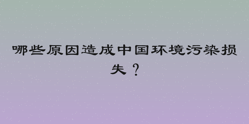 哪些原因造成中国环境污染损失？