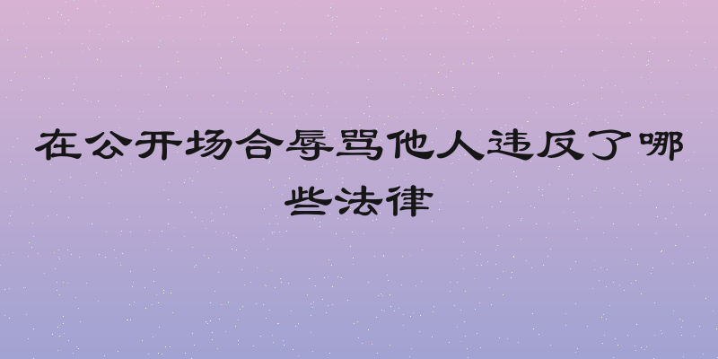 在公开场合辱骂他人违反了哪些法律
