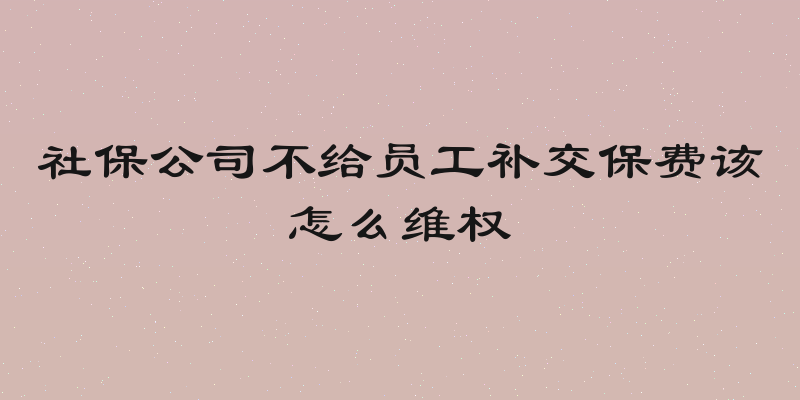 社保公司不给员工补交保费该怎么维权