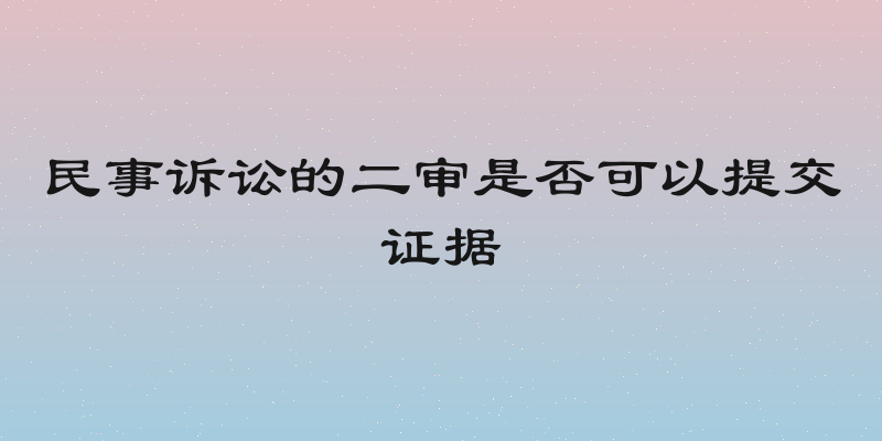 民事诉讼的二审是否可以提交证据