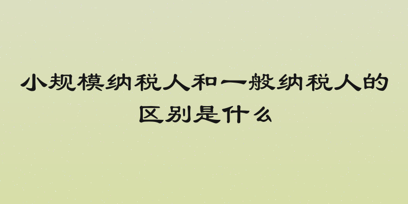 小规模纳税人和一般纳税人的区别是什么