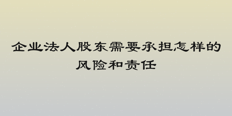 企业法人股东需要承担怎样的风险和责任