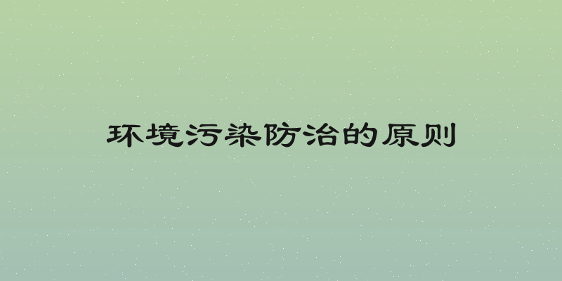 环境污染防治的原则