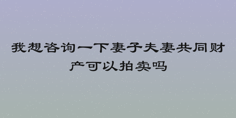我想咨询一下妻子夫妻共同财产可以拍卖吗