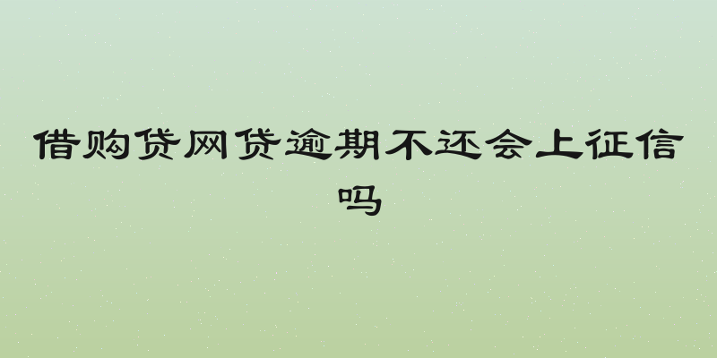 借购贷网贷逾期不还会上征信吗