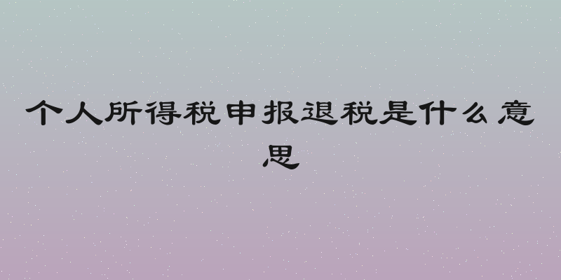 个人所得税申报退税是什么意思