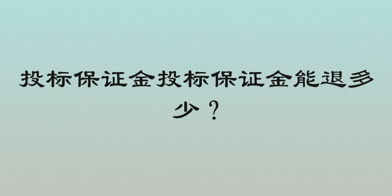 投标保证金投标保证金能退多少？