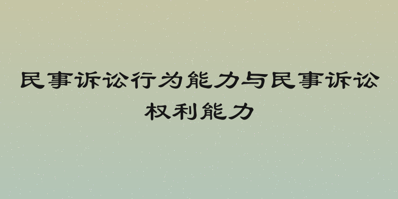 民事诉讼行为能力与民事诉讼权利能力