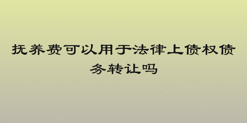 抚养费可以用于法律上债权债务转让吗