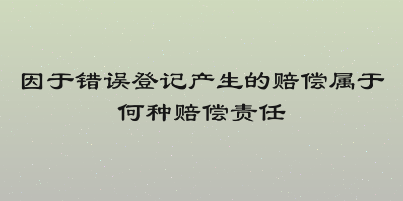 因于错误登记产生的赔偿属于何种赔偿责任