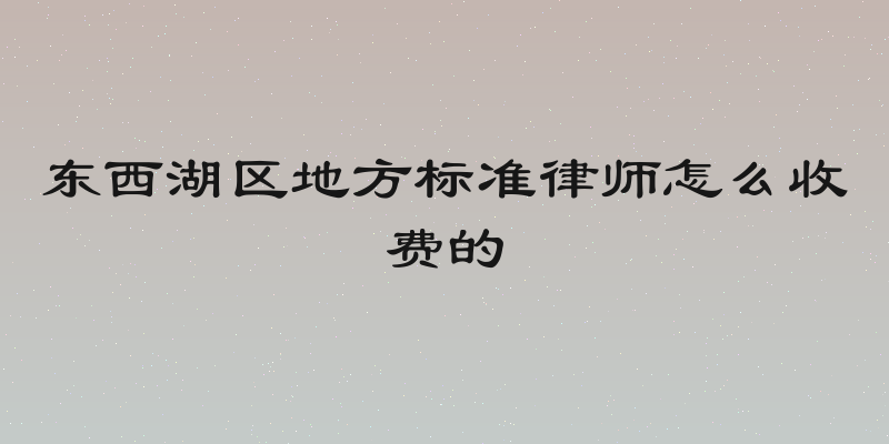 东西湖区地方标准律师怎么收费的
