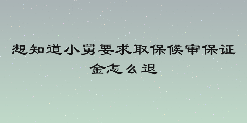 想知道小舅要求取保候审保证金怎么退