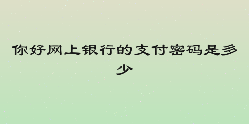 你好网上银行的支付密码是多少