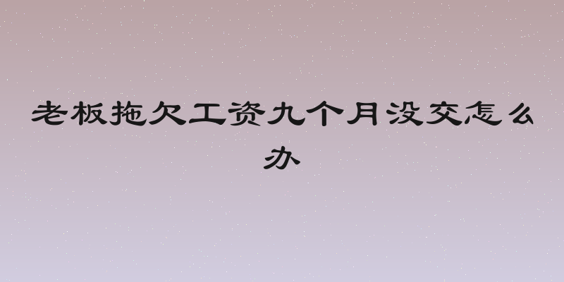 老板拖欠工资九个月没交怎么办
