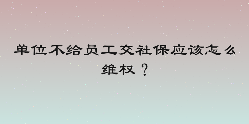单位不给员工交社保应该怎么维权？