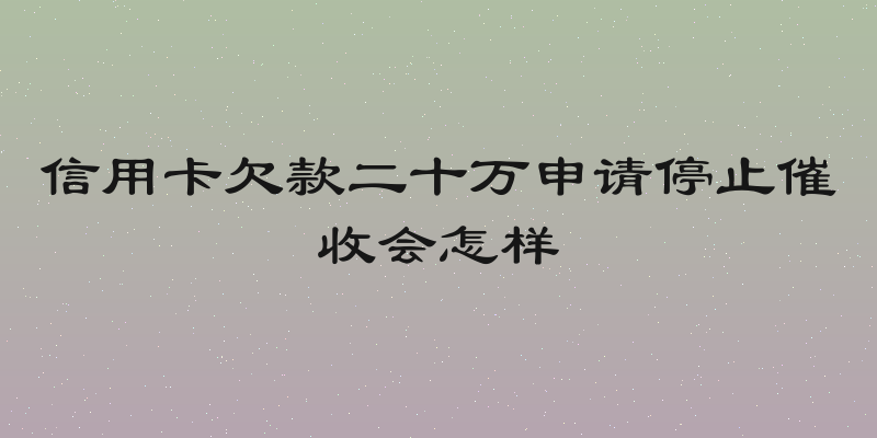信用卡欠款二十万申请停止催收会怎样