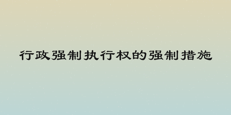 行政强制执行权的强制措施