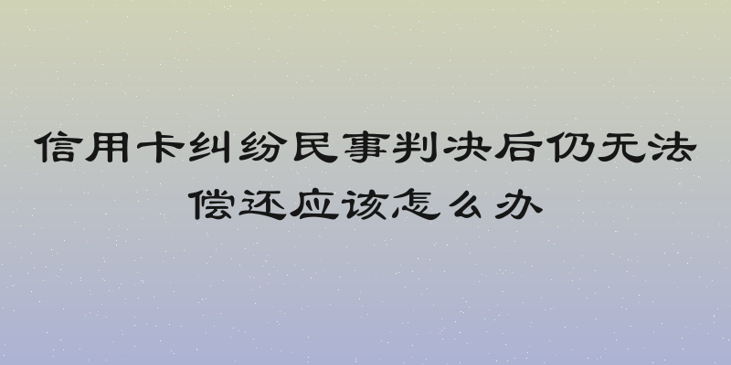 信用卡纠纷民事判决后仍无法偿还应该怎么办