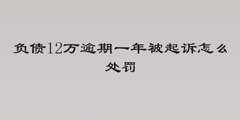 负债12万逾期一年被起诉怎么处罚