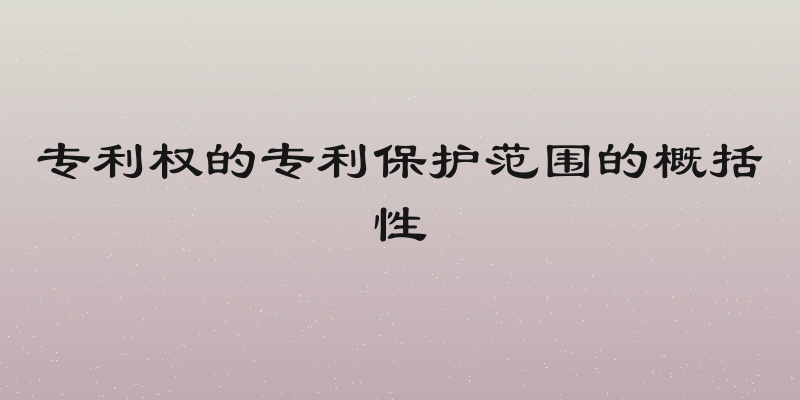 专利权的专利保护范围的概括性