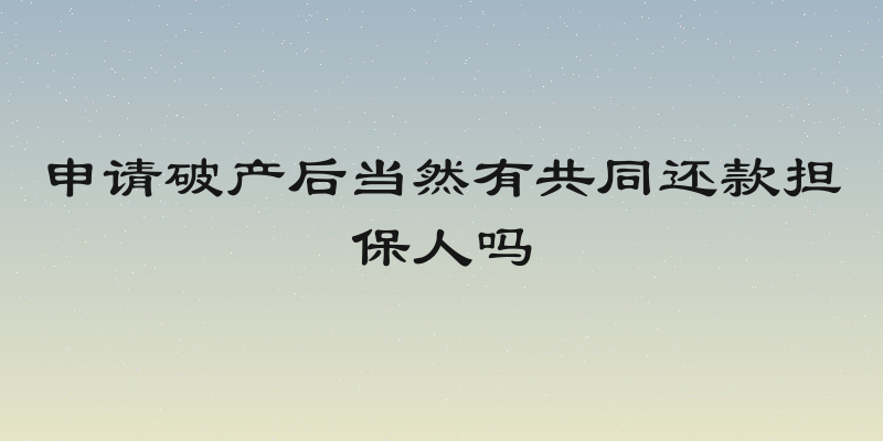 申请破产后当然有共同还款担保人吗